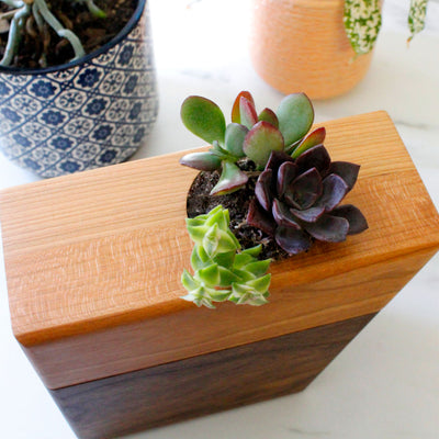 The Living Urn Planter Keepsake - Farris