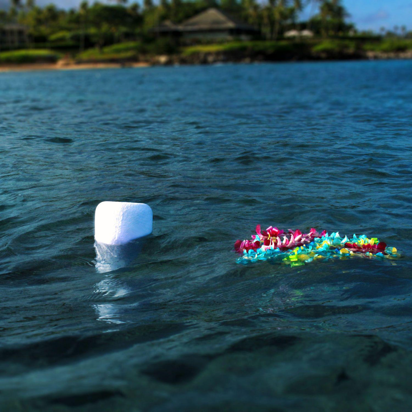 Eco Water - Messenger