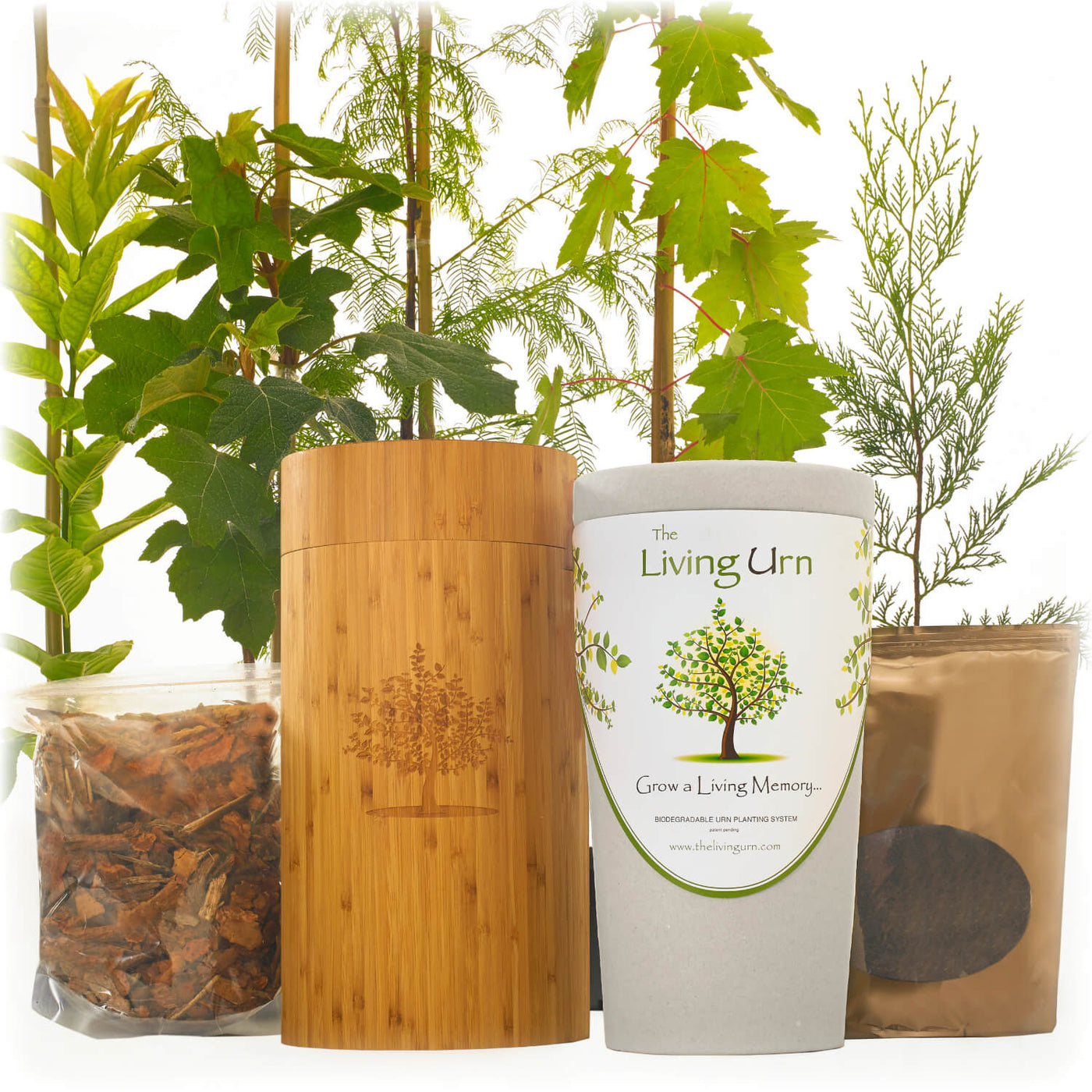 The Living Urn with a Voucher for a Tree - Messenger