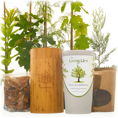 The Living Urn with a Voucher for a Tree - Akers James