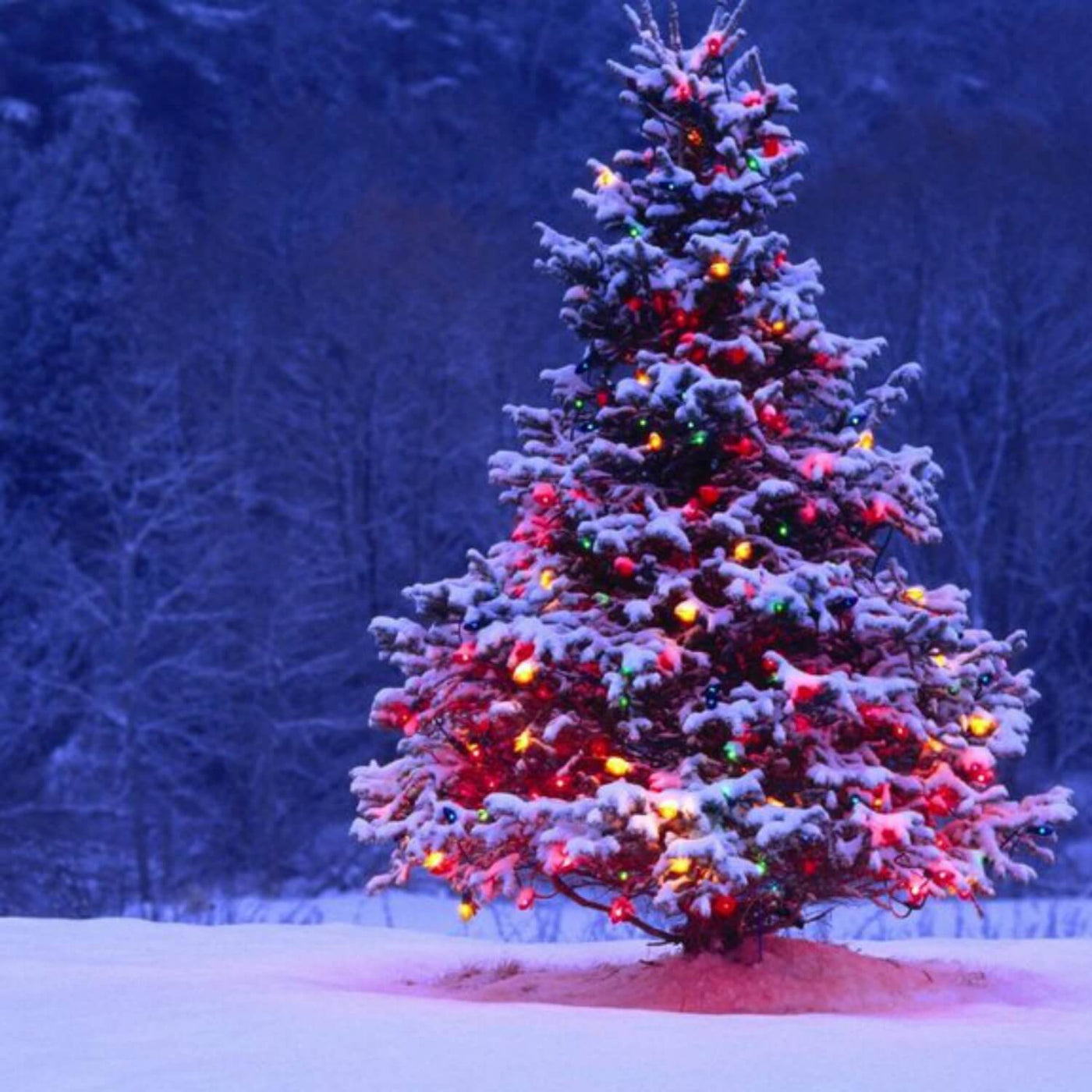 Christmas Tree - Heaven Bound