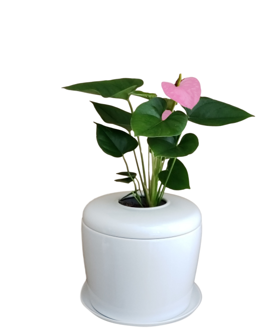 Flower Vase for Urn